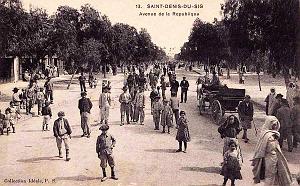 Saint Denis du Sig 603